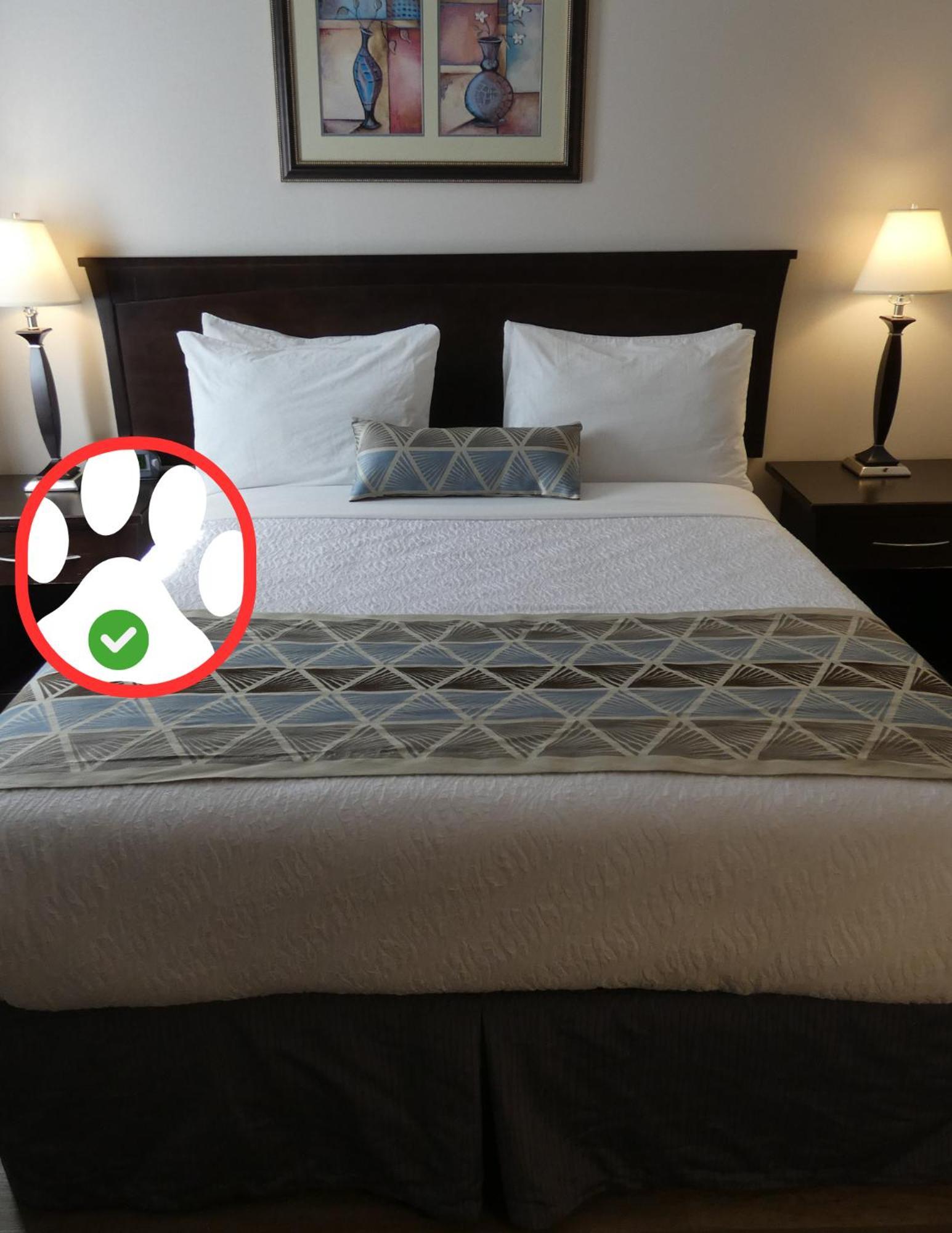 Dilworth Inn Kelowna Dış mekan fotoğraf
