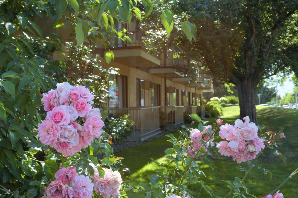 Dilworth Inn Kelowna Dış mekan fotoğraf